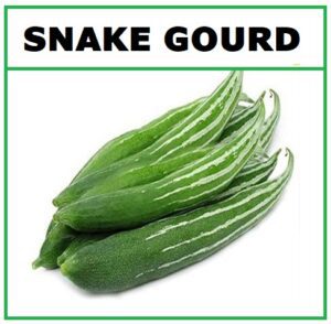 Snake Gourd Seeds