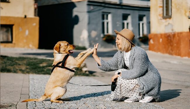 कुत्तों के बारे में रोचक और ज्ञानवर्धक बातें - Amazing Facts About Dogs (2025)